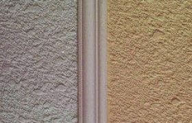 bontail1